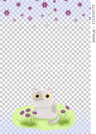 Purple flowers and cat background (postcard) H-3 Purple flowers and cat background (postcard) H-3 131520773