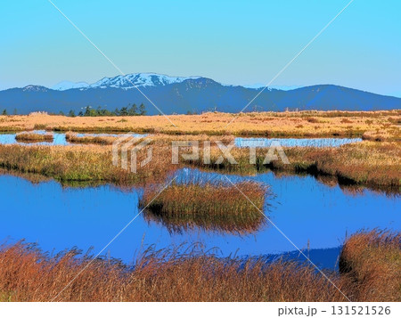 秋の朝の池塘と浮島(afr20250924074628) 秋の朝の池塘と浮島(afr20250924074628) 131521526