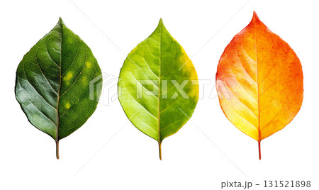 Leaves shine in vibrant autumn hues, created with AI 131521898