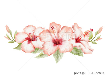Hibiscus tropical flowers crown with leaves and buds watercolor isolated illustration. Realistic summer tropical plant in detailed botanical style. Horizontal blooming floral garden twig clip art 131522804