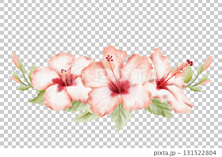 Hibiscus tropical flowers crown with leaves and buds watercolor isolated illustration. Realistic summer tropical plant in detailed botanical style. Horizontal blooming floral garden twig clip art 131522804