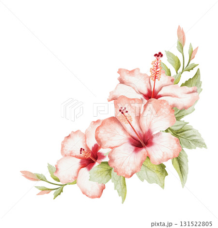Watercolor tropical flowers and buds corner illustration isolated on white. Realistic summer hibiscus garden plant with leaves in red green botanical style. Floral blooming card template Watercolor tropical flowers and buds corner illustration isolated on white. Realistic summer hibiscus garden plant with leaves in red green botanical style. Floral blooming card template 131522805