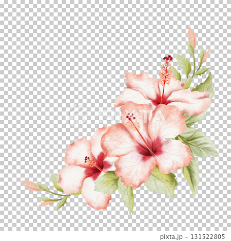 Watercolor tropical flowers and buds corner illustration isolated on white. Realistic summer hibiscus garden plant with leaves in red green botanical style. Floral blooming card template Watercolor tropical flowers and buds corner illustration isolated on white. Realistic summer hibiscus garden plant with leaves in red green botanical style. Floral blooming card template 131522805