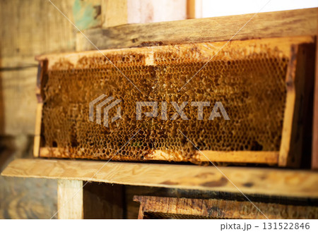 Bee frame with honey, wax and honeycomb on a wooden shelf, close-up Bee frame with honey, wax and honeycomb on a wooden shelf, close-up 131522846