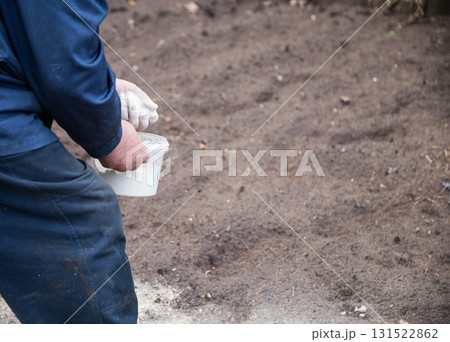 A man deacidifies the soil with dolomite flour and fertilizer in the garden in autumn. Increasing crop yields, copy space for text, summer resident 131522862