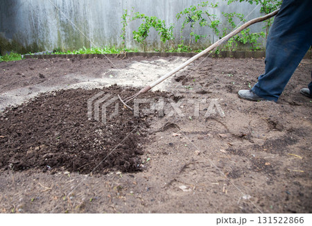 Loosening the soil with a rake and deoxidizing the soil with dolomite flour in the garden in spring, close-up. Copy space for text, neutralizing soil 131522866