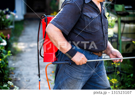 A man with a battery-powered telescopic sprayer in his hands against the background of plants in a summer house. Concept treatment of plants for growth and destruction of parasites. A man with a battery-powered telescopic sprayer in his hands against the background of plants in a summer house. Concept treatment of plants for growth and destruction of parasites. 131523107