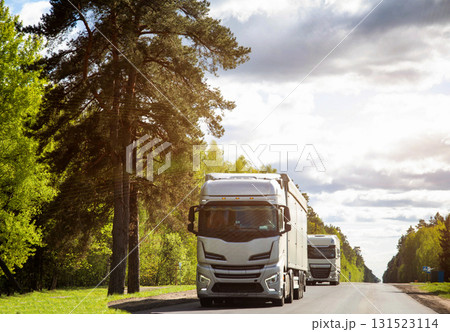 A column of trucks with semi-trailers transports cargo along a country road. Logistics company for the delivery of consolidated cargo. GPS tracking and cargo insurance. Summer nature and forest. Copy A column of trucks with semi-trailers transports cargo along a country road. Logistics company for the delivery of consolidated cargo. GPS tracking and cargo insurance. Summer nature and forest. Copy 131523114