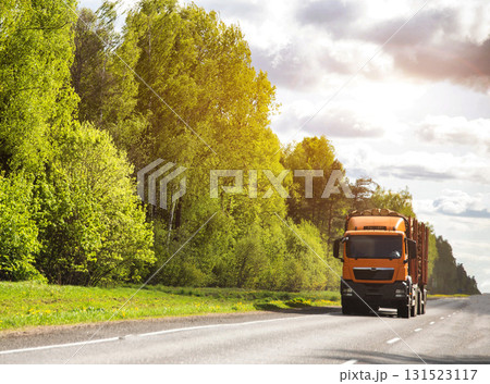 Modern new orange timber truck with semi-trailer on country road against forest and cloudy sky background. Copy space for text, industry Modern new orange timber truck with semi-trailer on country road against forest and cloudy sky background. Copy space for text, industry 131523117