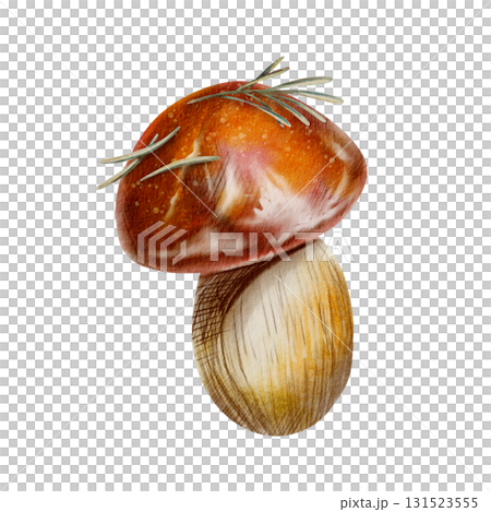 Orange-capped mushroom with needles and a tiny twig-an emblem of autumn,joy of foraging with friends in outdoors.Isolated illustration in cartoon style,watercolor washes,textured colored pencils 131523555