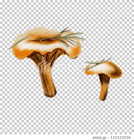Whimsical chanterelle mushrooms with needles and a tiny twig evoking autumns charm,in soft watercolor washes and playful colored pencil strokes.For storytelling in childrens books and nature-themed Whimsical chanterelle mushrooms with needles and a tiny twig evoking autumns charm,in soft watercolor washes and playful colored pencil strokes.For storytelling in childrens books and nature-themed 131523556
