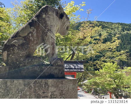 阿吽の虎〜鞍馬寺〜 阿吽の虎〜鞍馬寺〜 131523814