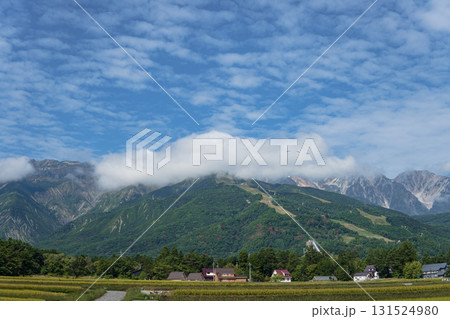 白馬連山を背景に八方山の全景/長野県白馬村 白馬連山を背景に八方山の全景/長野県白馬村 131524980