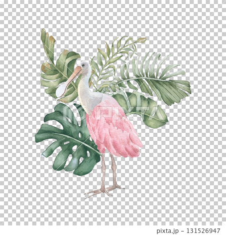 Tropical bird in jungle greenery watercolor pastel colors isolated on white. Monstera, areca palm leaves and pink spoonbill hand painted watercolor. Exotic bird in foliage for beach wedding design. 131526947