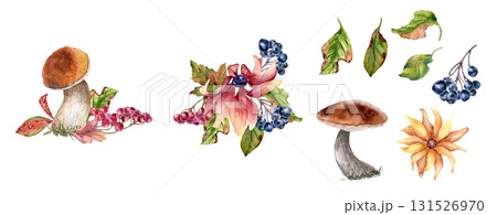 Autumn wild harvest watercolor clipart hand painted. Forest mushrooms, red blooms, leaves and berries isolated. Vibrant fall palette for seasonal packaging, botanical wall art and product branding. Autumn wild harvest watercolor clipart hand painted. Forest mushrooms, red blooms, leaves and berries isolated. Vibrant fall palette for seasonal packaging, botanical wall art and product branding. 131526970