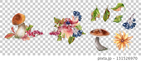 Autumn wild harvest watercolor clipart hand painted. Forest mushrooms, red blooms, leaves and berries isolated. Vibrant fall palette for seasonal packaging, botanical wall art and product branding. Autumn wild harvest watercolor clipart hand painted. Forest mushrooms, red blooms, leaves and berries isolated. Vibrant fall palette for seasonal packaging, botanical wall art and product branding. 131526970