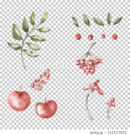 A set of branches, leaves, berries, apples, and fly agarics. Isolated watercolor illustration for children's educational materials, printing on postcards, fabric, books, and children's room design. 131527072