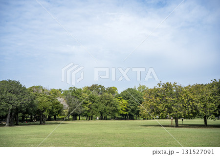 芝生広場 広場 芝生 木々 公園 イメージ 131527091
