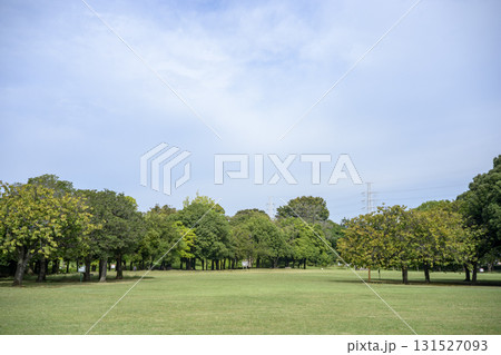 芝生広場 広場 芝生 木々 公園 イメージ 芝生広場 広場 芝生 木々 公園 イメージ 131527093