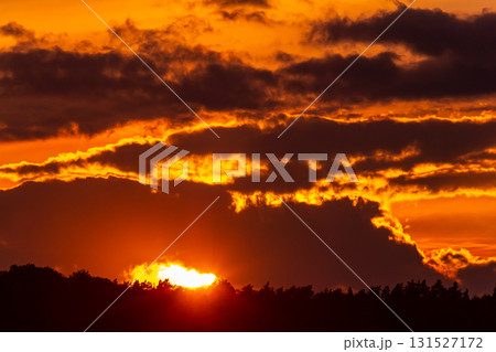 Stunning sunset over the horizon with vibrant colors illuminating the clouds and silhouettes of trees Stunning sunset over the horizon with vibrant colors illuminating the clouds and silhouettes of trees 131527172