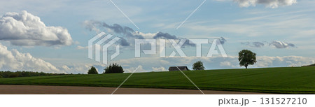 Wide green landscape featuring a lone tree and a distant building under a bright sky during the afternoon Wide green landscape featuring a lone tree and a distant building under a bright sky during the afternoon 131527210