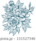 Peony Flower Line Art Illustration 131527346