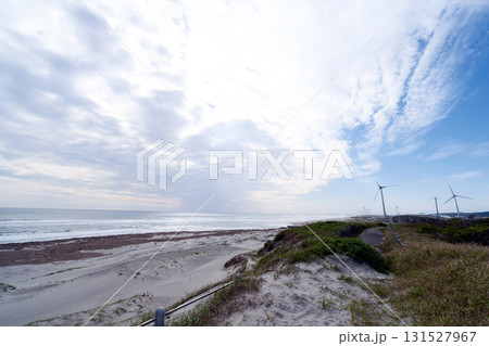 飛砂が道路を埋めてゆく遠州灘の海岸 131527967