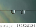 とても綺麗な球体の水滴とシンプルな背景が美しい風景 とても綺麗な球体の水滴とシンプルな背景が美しい風景 131528124