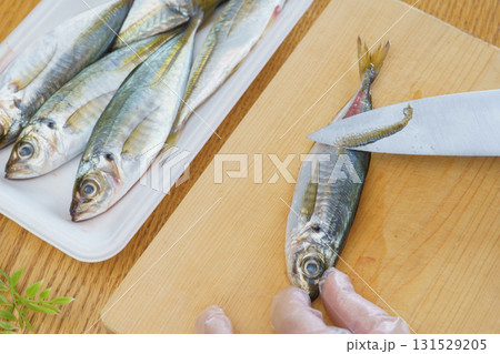 真アジを捌く｜ゼイゴを取る 131529205