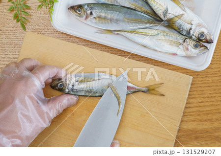 真アジを捌く|ゼイゴを取る 真アジを捌く|ゼイゴを取る 131529207