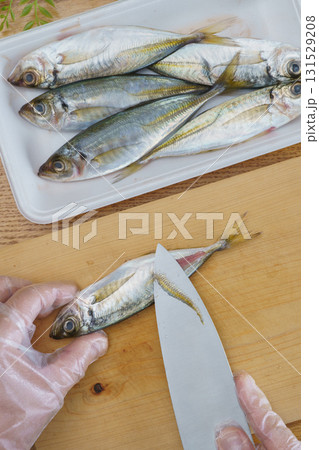 真アジを捌く|ゼイゴを取る 真アジを捌く|ゼイゴを取る 131529208