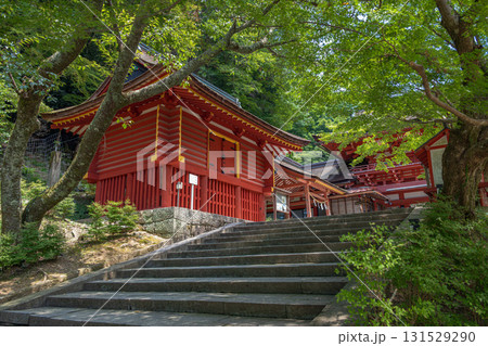 奈良 談山神社 西宝庫(重要文化財) 奈良 談山神社 西宝庫(重要文化財) 131529290