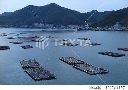 牡蠣の養殖筏が並ぶ、播磨灘の風景(俯瞰) 牡蠣の養殖筏が並ぶ、播磨灘の風景(俯瞰) 131529327