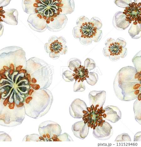 White flowers on a seamless floral pattern on a white background. Spring blooming kiwi flowers for home, children's, kitchen textiles, wrapping paper, wallpapers, for preserves, drinks, food design 131529460