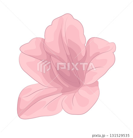 Illustration of pink flower Illustration of pink flower 131529535