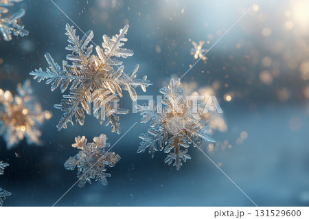 雪の結晶 雪の結晶 131529600