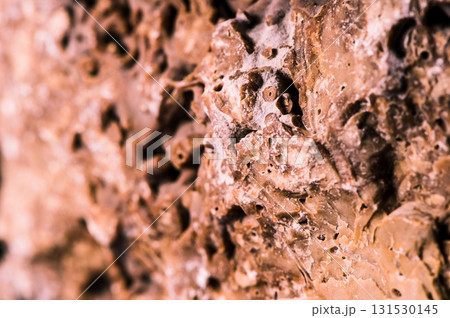 Stone texture with elements of erosion 131530145