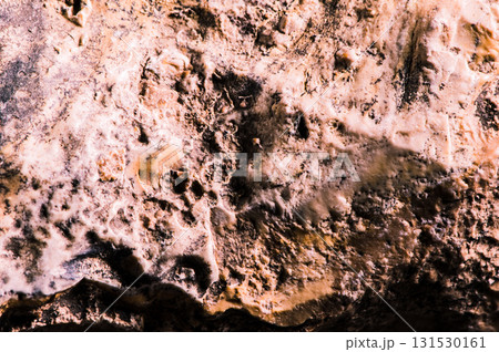 The stone surface is filled with mineral inclusions 131530161