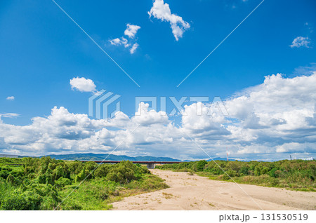 干上がった川底を見せる木津川 上津屋橋下流側 京都府八幡市 干上がった川底を見せる木津川 上津屋橋下流側 京都府八幡市 131530519