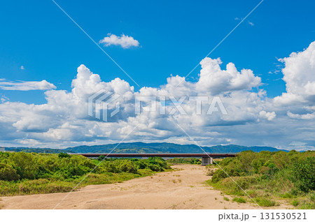 干上がった川底を見せる木津川 上津屋橋下流側 京都府八幡市 干上がった川底を見せる木津川 上津屋橋下流側 京都府八幡市 131530521