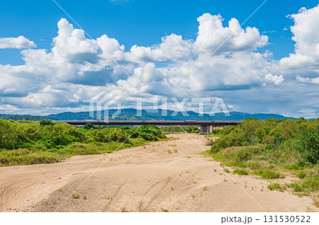干上がった川底を見せる木津川 上津屋橋下流側 京都府八幡市 干上がった川底を見せる木津川 上津屋橋下流側 京都府八幡市 131530522