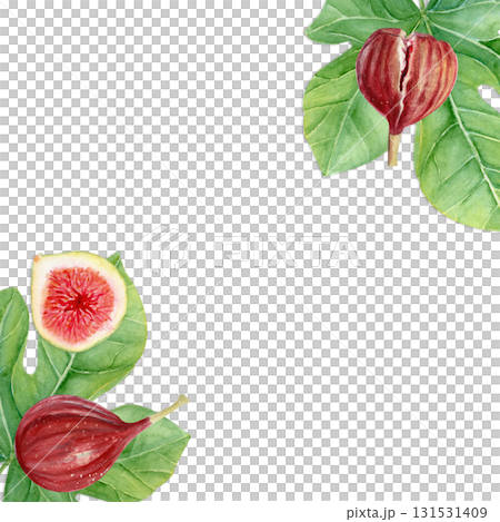 Figs and fig leaves watercolor square frame. Hand-painted botanical illustration isolated on white. Perfect for food packaging, kitchen prints, cards, invitations, organic branding, natural design 131531409