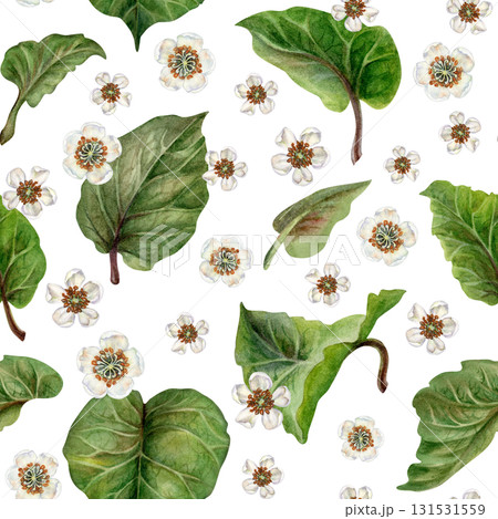 White blooming flowers, green kiwi leaves on a seamless pattern on a white background. Spring botanical template for home, children's, kitchen textiles, wrapping, wallpapers, for drinks, food design 131531559