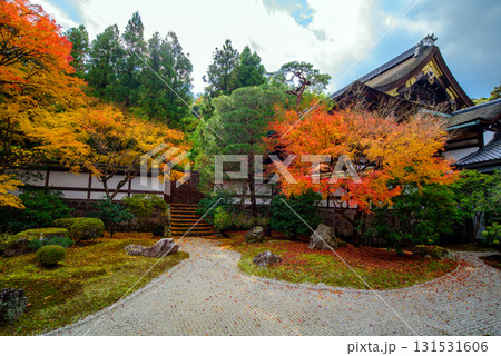 御寺 泉涌寺の御座所庭園の紅葉 御寺 泉涌寺の御座所庭園の紅葉 131531606