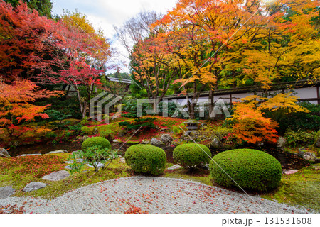御寺 泉涌寺の御座所庭園の紅葉 御寺 泉涌寺の御座所庭園の紅葉 131531608