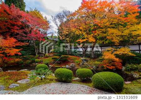 御寺　泉涌寺の御座所庭園の紅葉 131531609