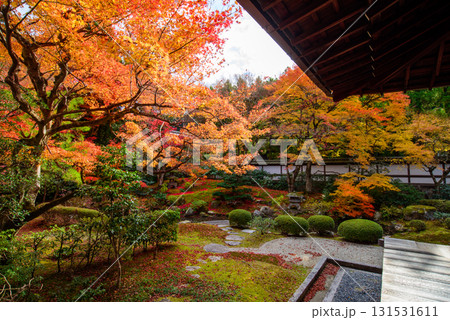 御寺 泉涌寺の御座所庭園の紅葉 御寺 泉涌寺の御座所庭園の紅葉 131531611