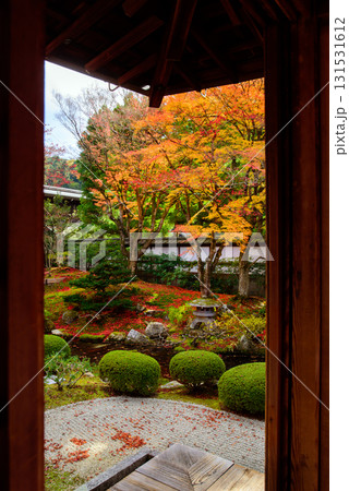 御寺　泉涌寺の御座所庭園の紅葉 131531612