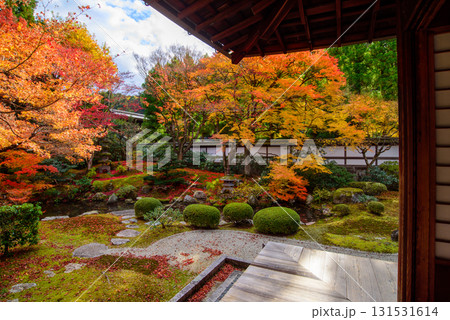 御寺 泉涌寺の御座所庭園の紅葉 御寺 泉涌寺の御座所庭園の紅葉 131531614