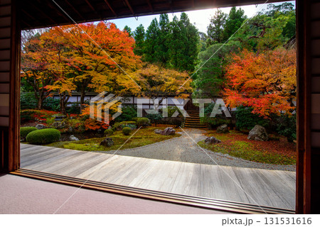 御寺 泉涌寺の御座所庭園の紅葉 御寺 泉涌寺の御座所庭園の紅葉 131531616